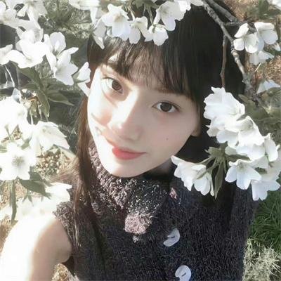 追星星的人第三季